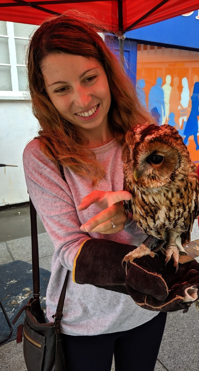 AVIATOR - Copilot Elise